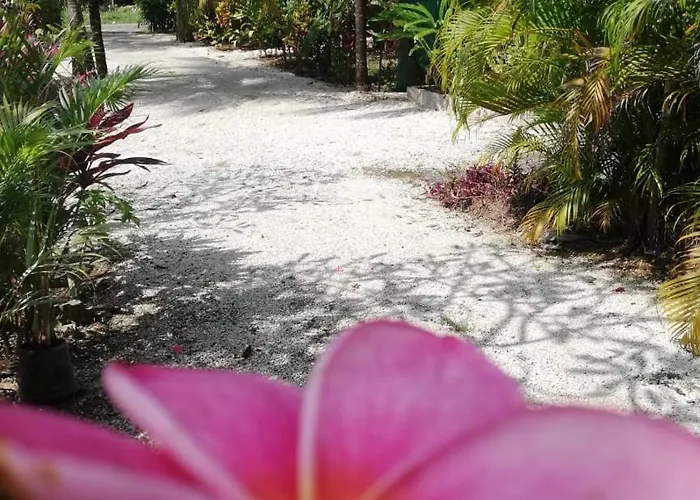 Villa Casa Plumeria-aloha Surf Nosara
