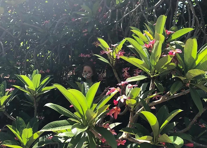 Villa Casa Plumeria-aloha Surf *